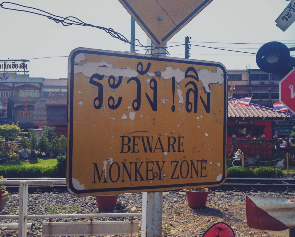 Beware Monkey Zone - Lopburi