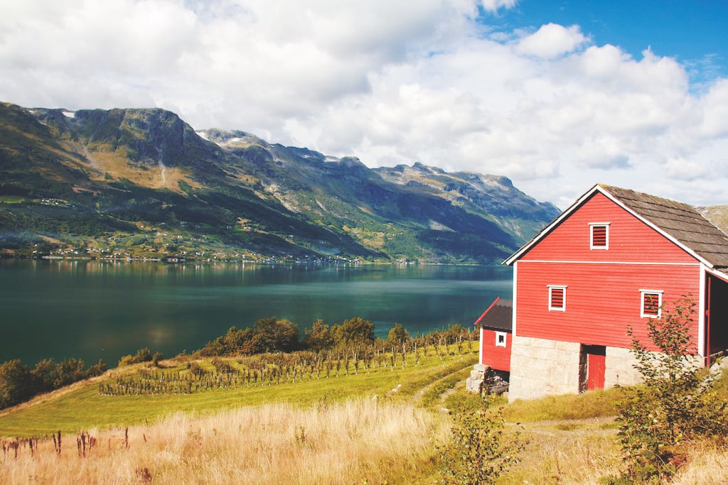 Hardangerfjord photo