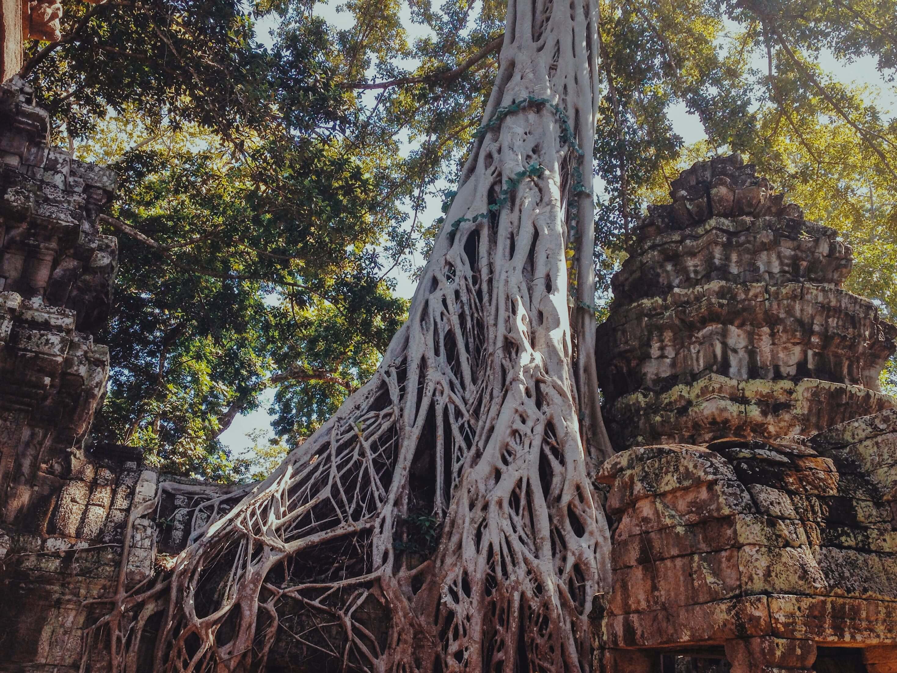 Angkor Wat, Siem Reap - Cambodia Itinerary