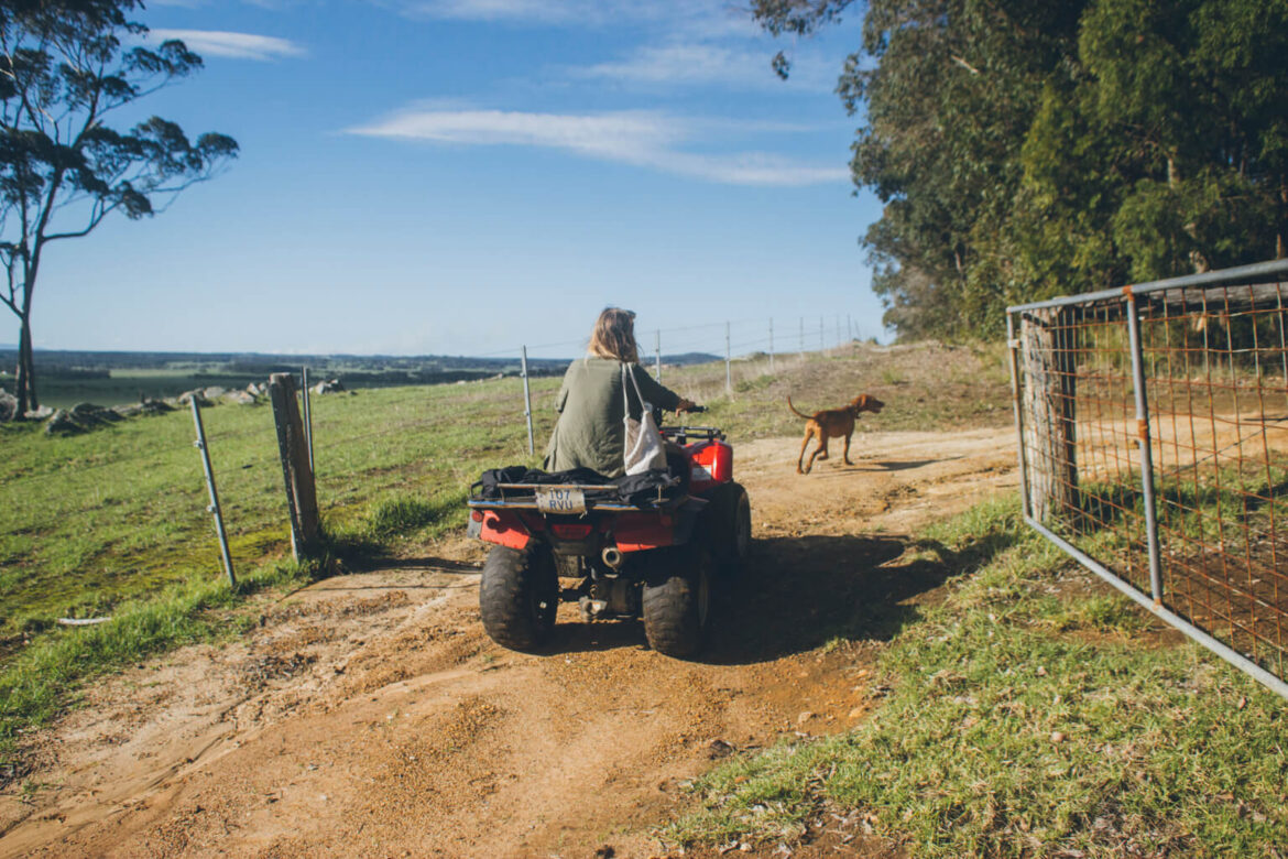 Riding The Motorbike Around The Paddocks - Best House Sitting Experience Ever