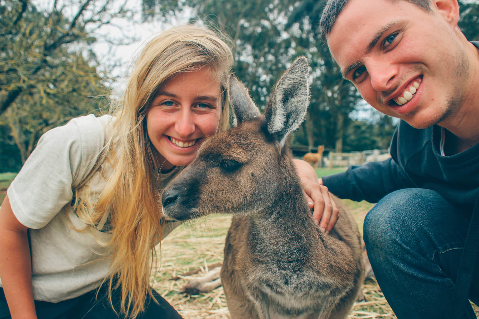 Cuddling A Kangaroo in Australia